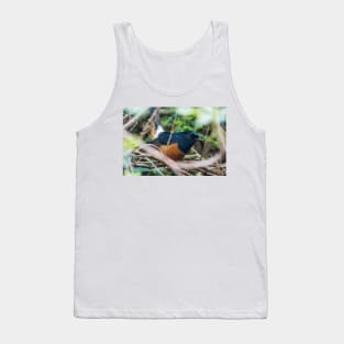 White-rumped shama Tank Top